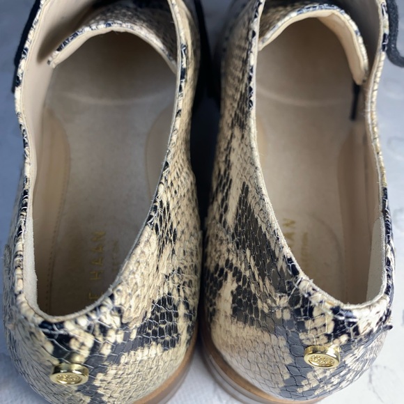 COLE HAAN Modern Classic Oxford - Python Printed Leather - Picture 12 of 16